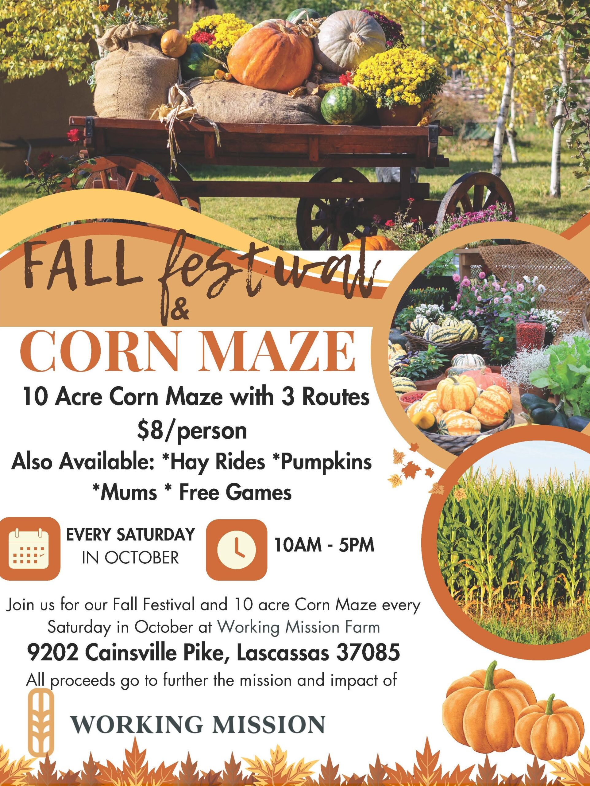 Fall Festival and Corn Maze Flyer